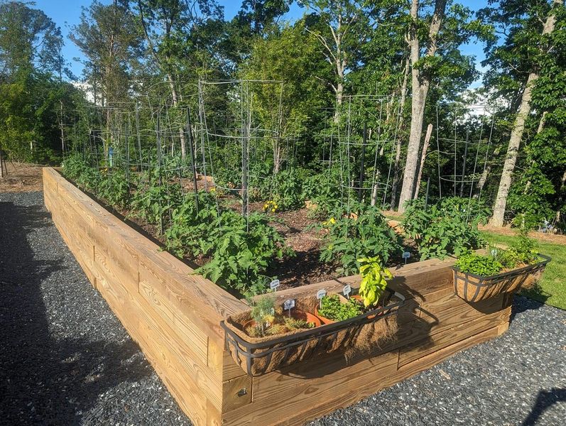 Natural surroundings and green spaces near Crescent Pointe at Great Sky in Canton, GA (Image 32).