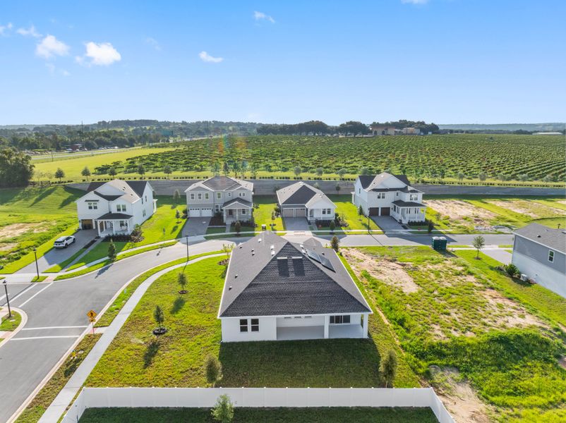 Aerial view of the Vintner Reserve community in Clermont, FL, showing layout and nearby surroundings (Image 15).