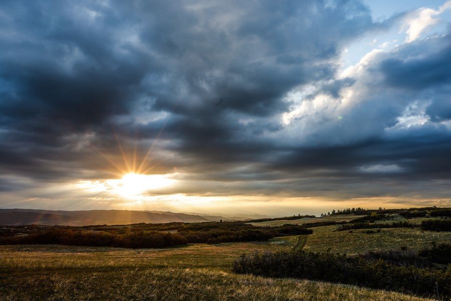 Natural surroundings and green spaces near Dawson Trails Horizon Collection in Castle Rock, CO (Image 4).