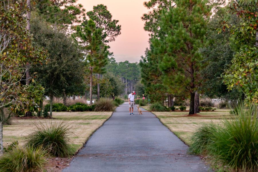 Natural surroundings and green spaces near The Villas at Longleaf Park, a Watersound Origins® community in Inlet Beach, FL (Image 42).