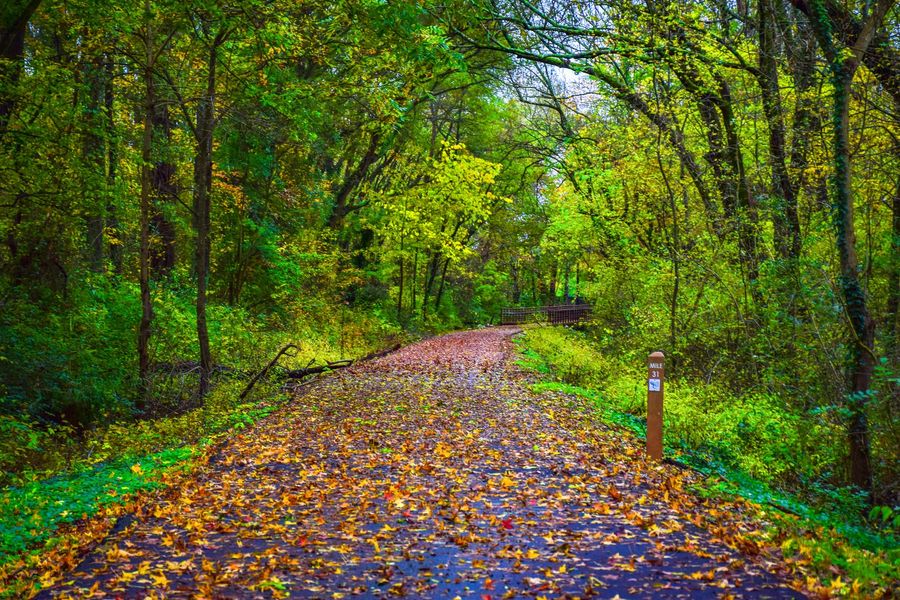 Swamp Rabbit Trail Swamp Rabbit Trail
