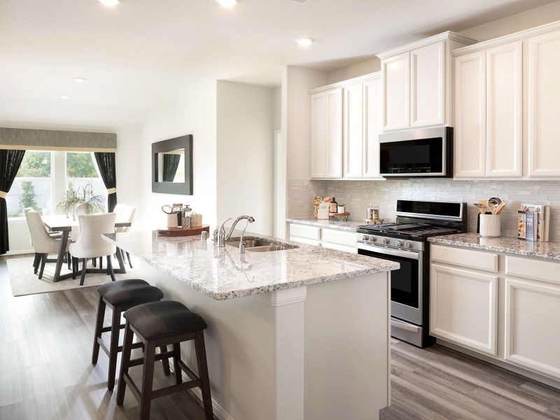 Image 14 of the Riverstone Ranch - Premier community in Pearland, TX.