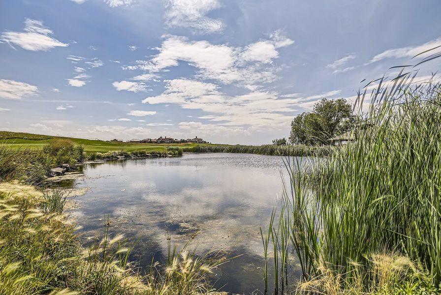 Commerce City Buffalo Run Golf Course 2of4
