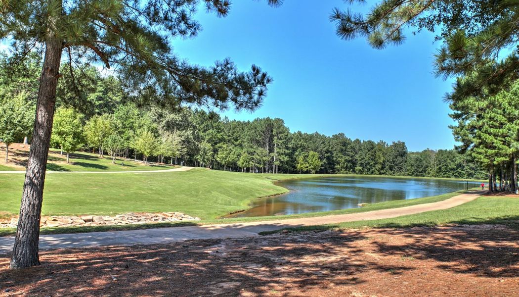 Natural surroundings and green spaces near Westbury in Griffin, GA (Image 30).