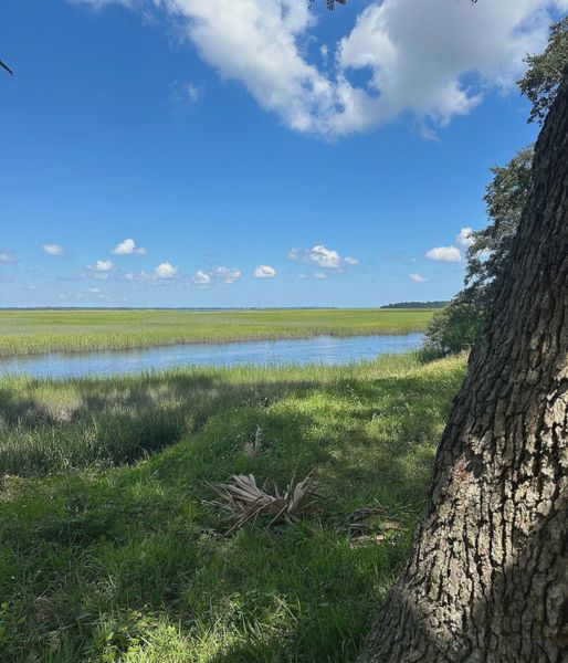 Natural surroundings and green spaces near Katie Cove in Jacksonville, FL (Image 40).