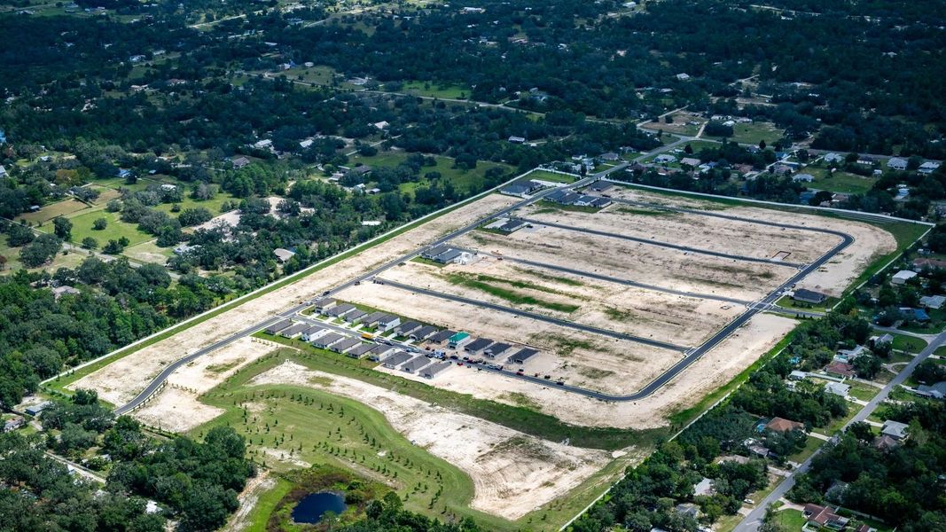 Image 9 of the Pinecone Reserve community in Brooksville, FL.