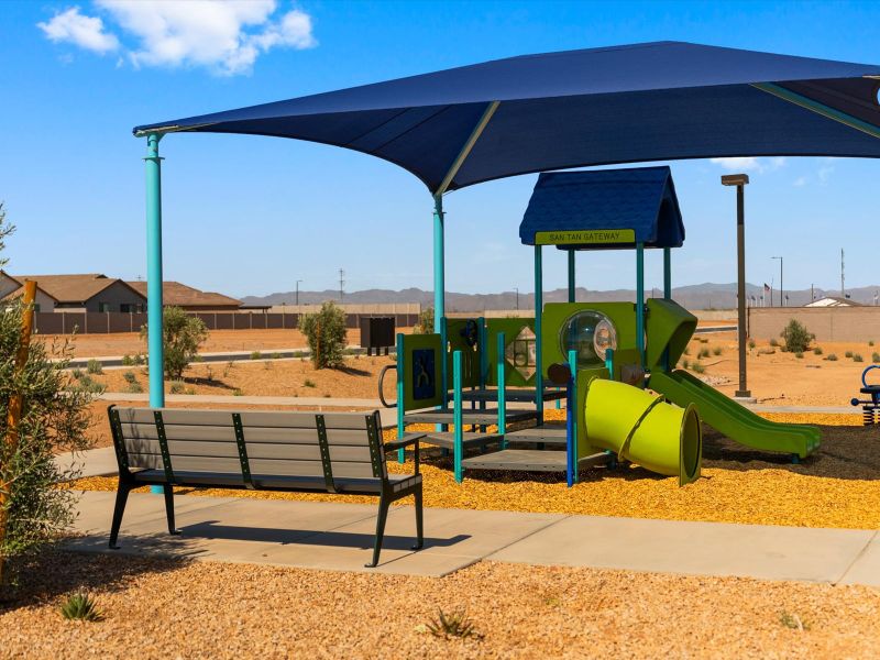 Playground at Wildera in San Tan Valley.