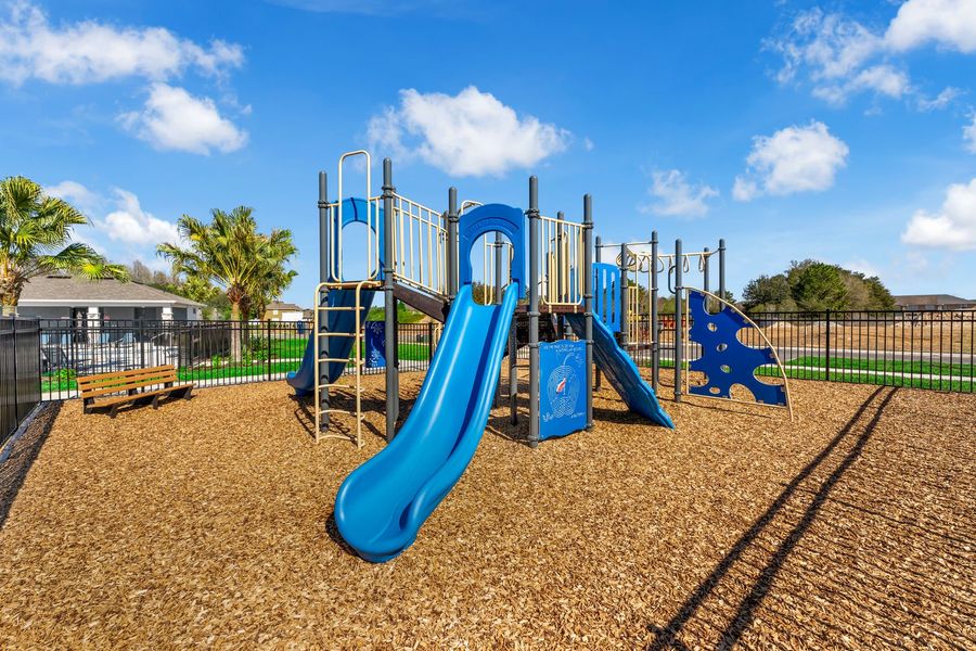 Neighborhood Playground
