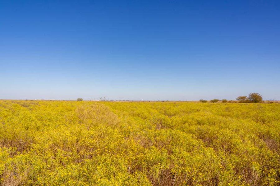 Image 4 of the Bella Communities master-planned community in Fort Worth, TX.