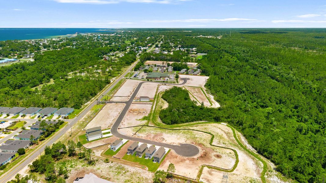 Site preparation and early development at Salt Pines in Port Saint Joe, FL (Image 19). Site preparation and early development at Salt Pines in Port Saint Joe, FL (Image 19).