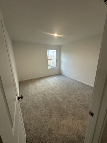 A bright, spacious room with plush carpeting and a single window, offering ample natural light.