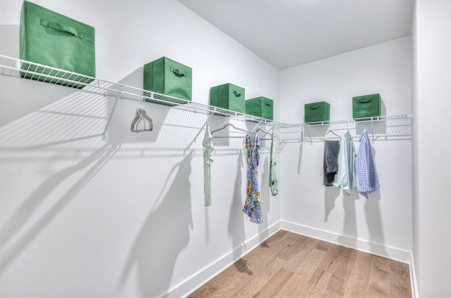 The Elm Model at Ivey Farms