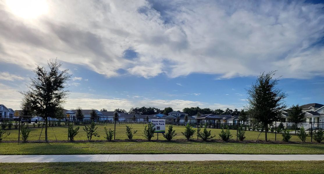 Shared community amenity within Calesa Township in Ocala, FL (Image 4).