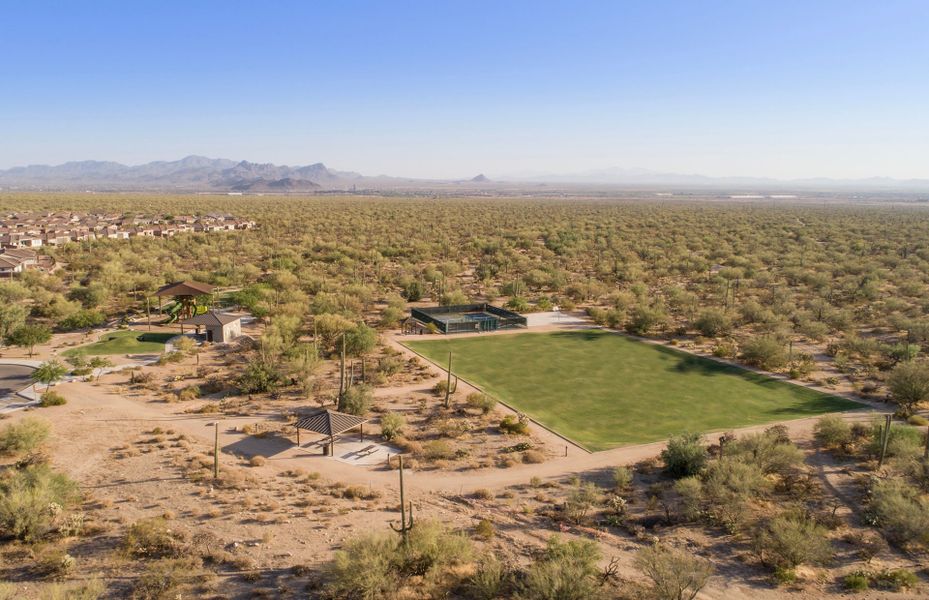 Impressive Amenities