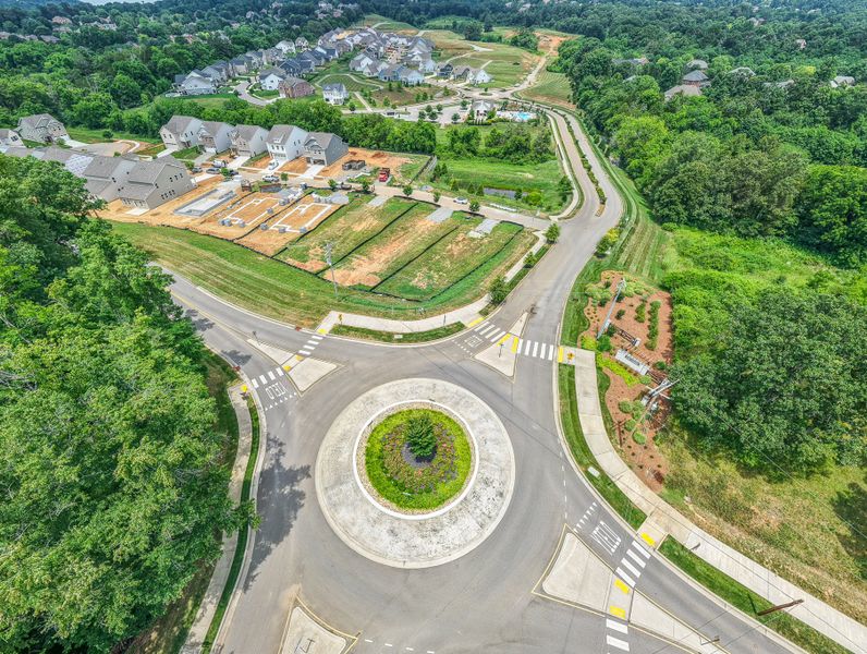 The Grove at Ivey Farms Phase