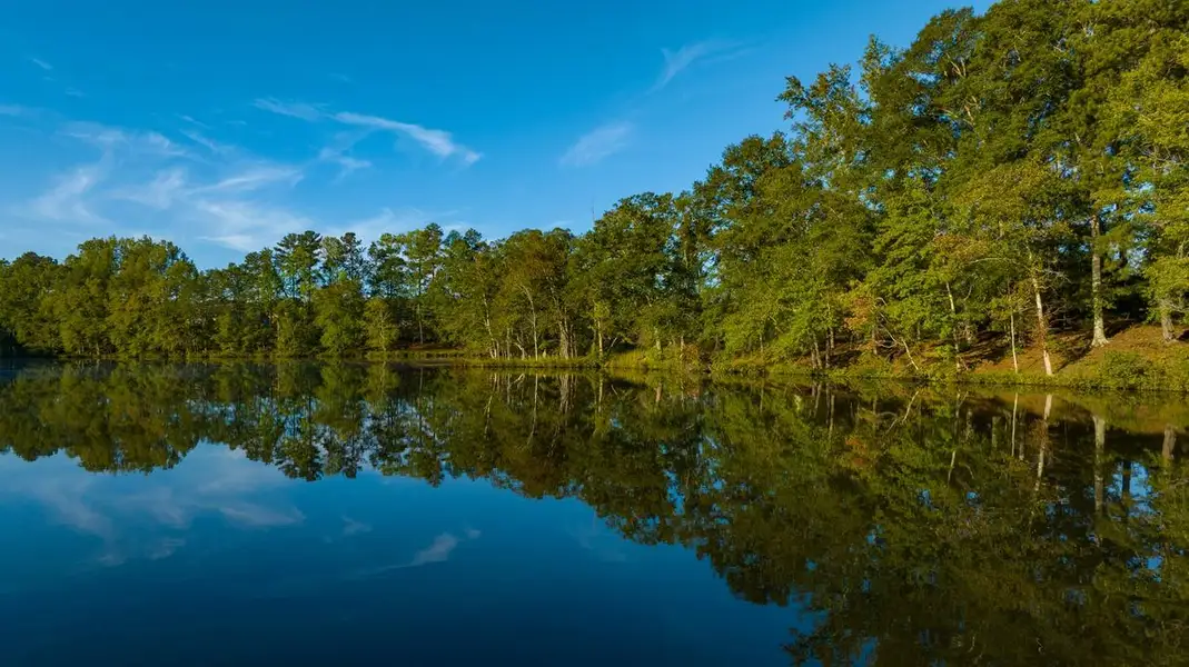 Natural surroundings and green spaces near Cresswind at Spring Haven in Newnan, GA (Image 17).