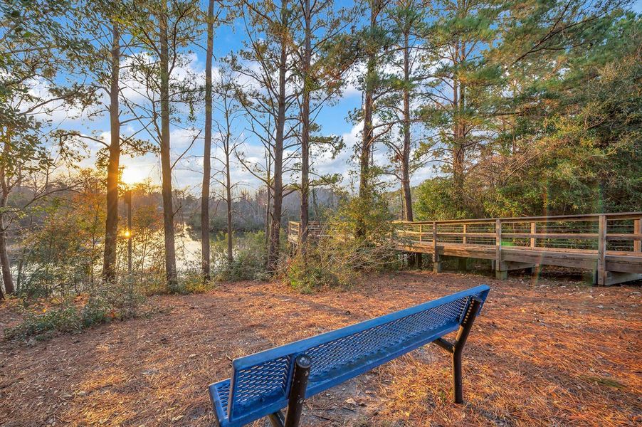 Natural surroundings and green spaces near 142 Switchyard in Wilmington, NC (Image 5).