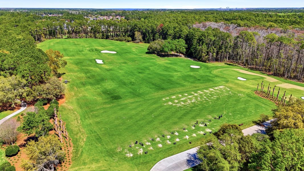 Natural surroundings and green spaces near Amelia National Country Club in Fernandina Beach, FL (Image 42).