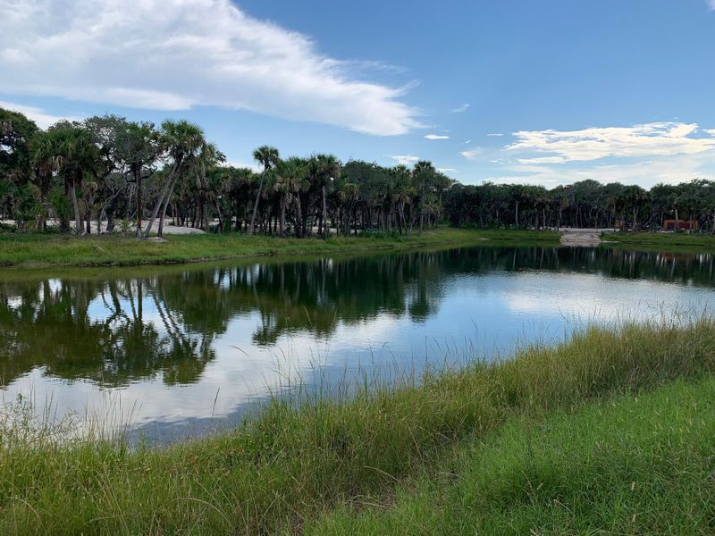 Lake Seaglass | Seaglass:Lake Seaglass | Seaglass