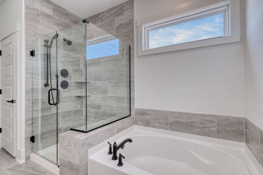 Owner's Walk-In Shower & Tub