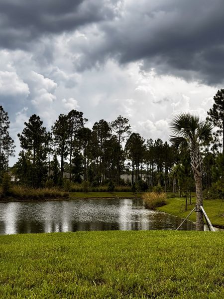 A serene, cloudy lakeside view with lush greenery in RiverTown - Meadows by Mattamy Homes (St. Johns, FL).