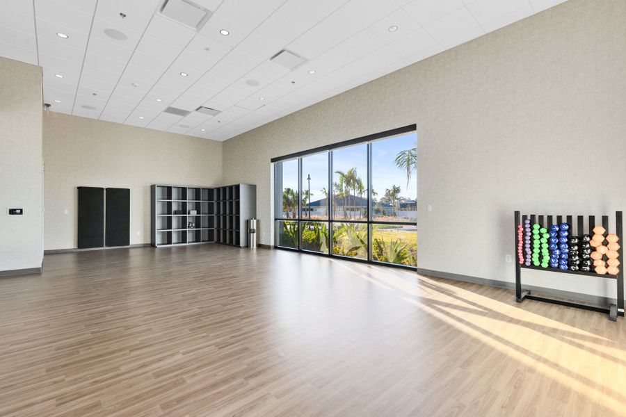 Movement Studio