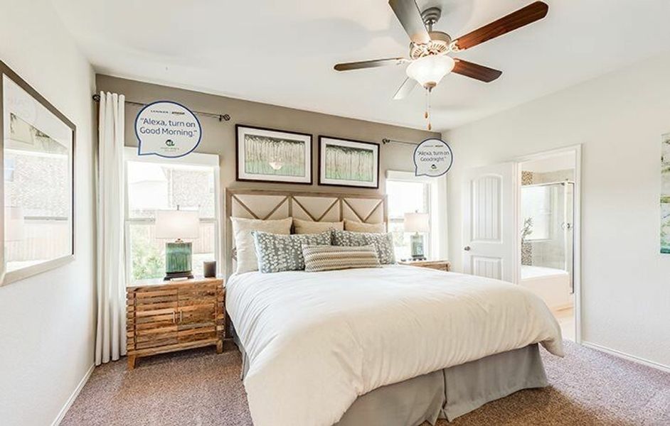 Image 12 of the Hillstone Pointe 40s & 50s community in Little Elm, TX.