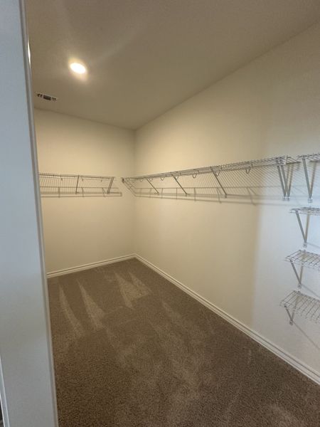 A spacious carpeted walk-in closet featuring ample wire shelving for organized storage.