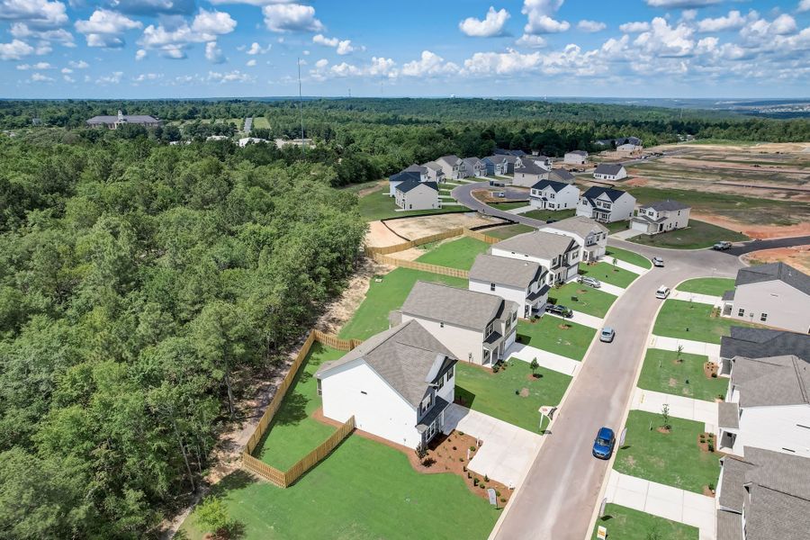 Aerial view of the Beach Forest community in Sumter, SC, showing layout and nearby surroundings (Image 12).