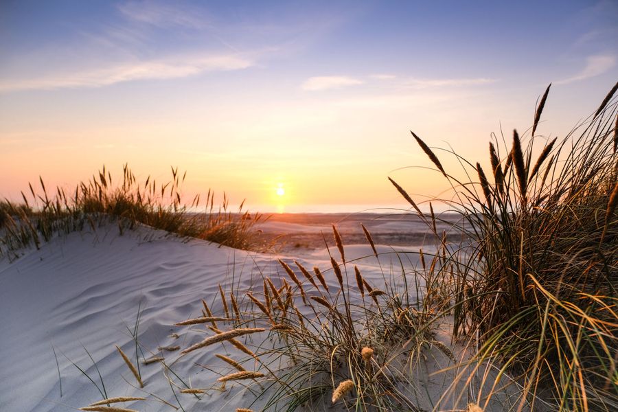 Beach at Sunset