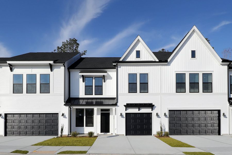 Hydrangea and Hyacinth Plans