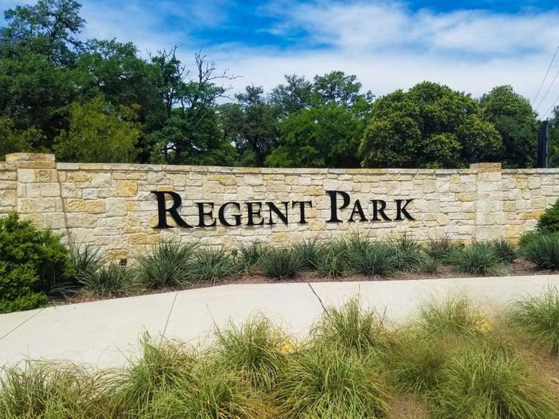 Image 4 of the Regent Park: 60ft. lots community in Boerne, TX.