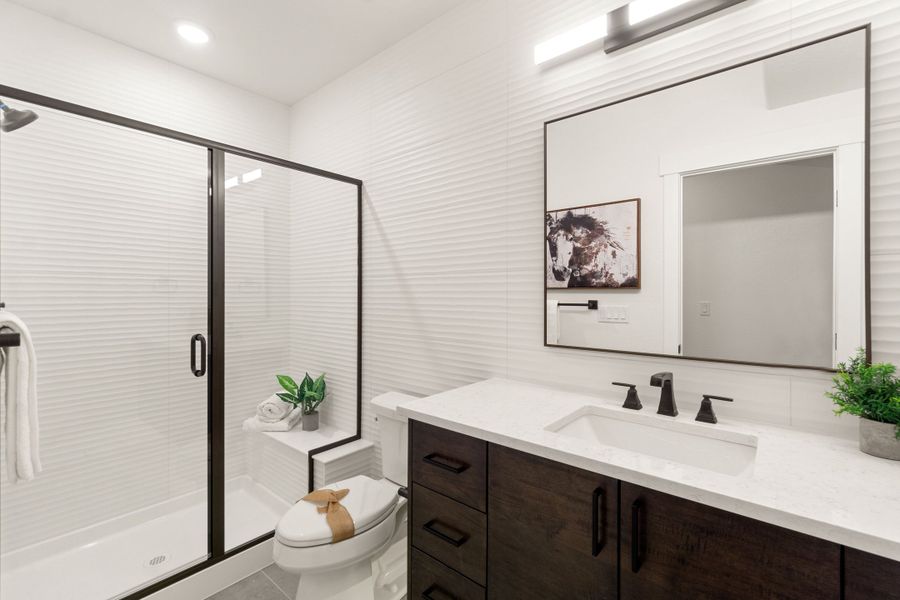 The Aurora Highlands,80019