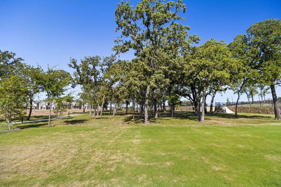 Natural surroundings and green spaces near Oak Ridge Park in Corinth, TX (Image 20). Natural surroundings and green spaces near Oak Ridge Park in Corinth, TX (Image 20).