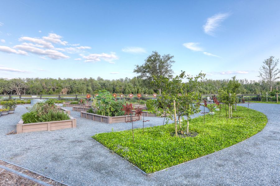 Community amenity available to residents of Laureate Park at Lake Nona - Park Series in Orlando (Image 13).