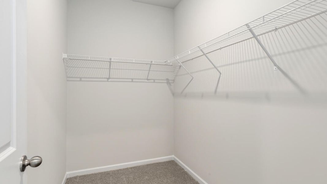 Image 24 of the The Cottages at Blake Farm community in Wilmington, NC.