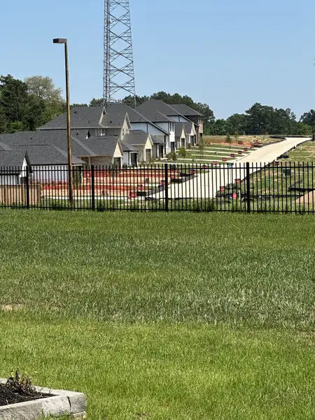 Modern homes with sleek roofs in a serene setting at Montgomery Ridge: Founders Collection by Beazer Homes, Montgomery, TX.
