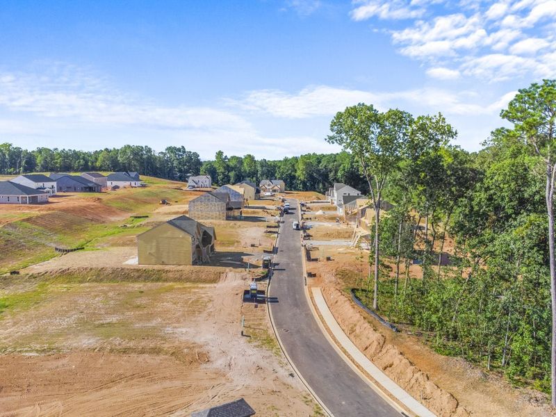 Site preparation and early development at Pickens Bluff in Hiram, GA (Image 30). Site preparation and early development at Pickens Bluff in Hiram, GA (Image 30).