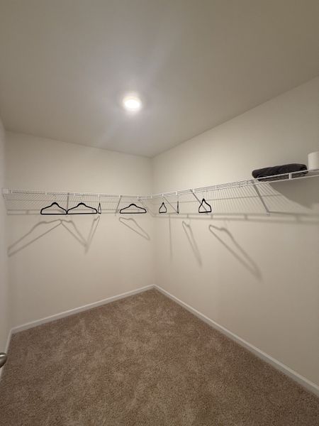 A spacious walk-in closet with carpeted flooring and wire shelving, featuring ample hanging space and modern lighting.