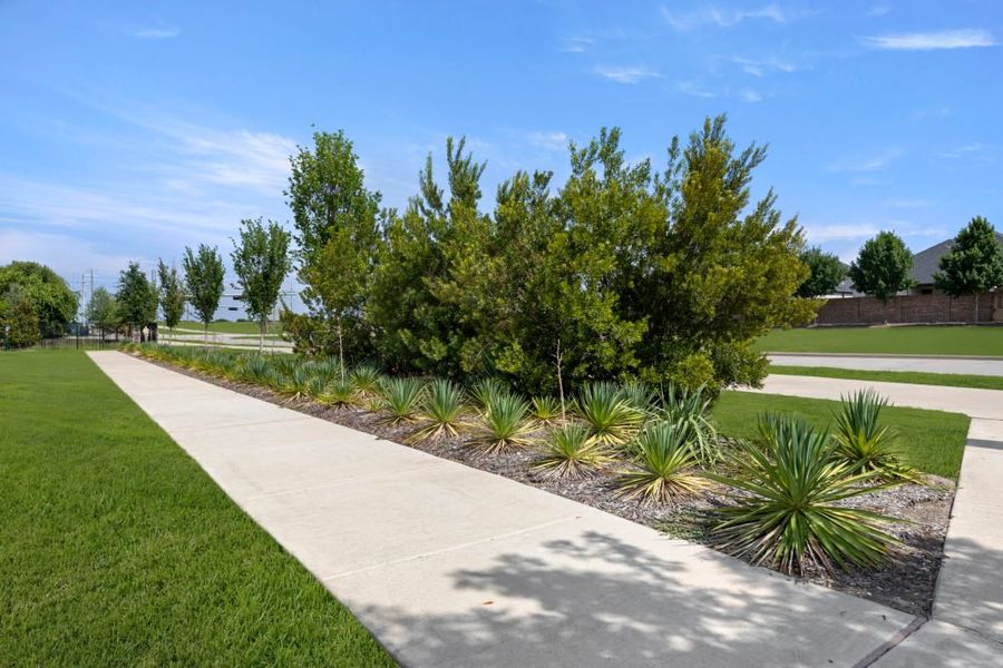 Natural surroundings and green spaces near Chelsea Commons in Allen, TX (Image 72). Natural surroundings and green spaces near Chelsea Commons in Allen, TX (Image 72).