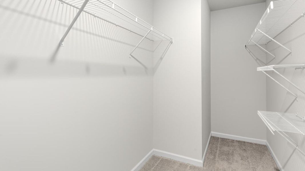 Image 46 of the The Grove at Blake Farm community in Wilmington, NC. Image 46 of the The Grove at Blake Farm community in Wilmington, NC.