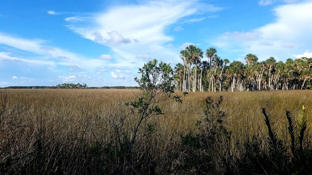 Natural surroundings and green spaces near Beacon Park in Hudson, FL (Image 11).