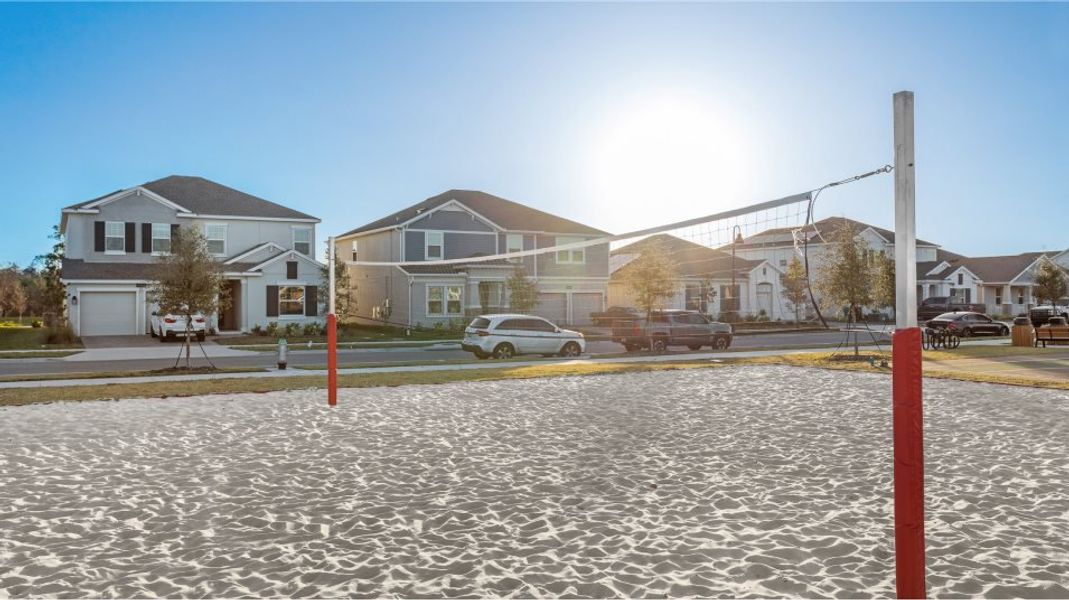 Volleyball court Volleyball court