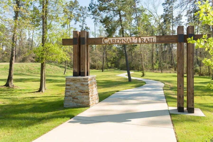 Image 10 of the NorthGrove at Spring Creek community in Magnolia, TX.