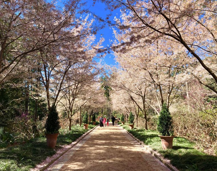Natural surroundings and green spaces near The Grove at Latta Park in Durham, NC (Image 8).