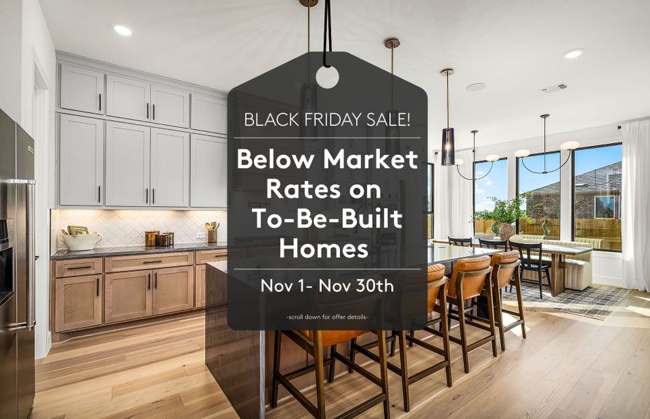 Black Friday Sale! Black Friday Sale!