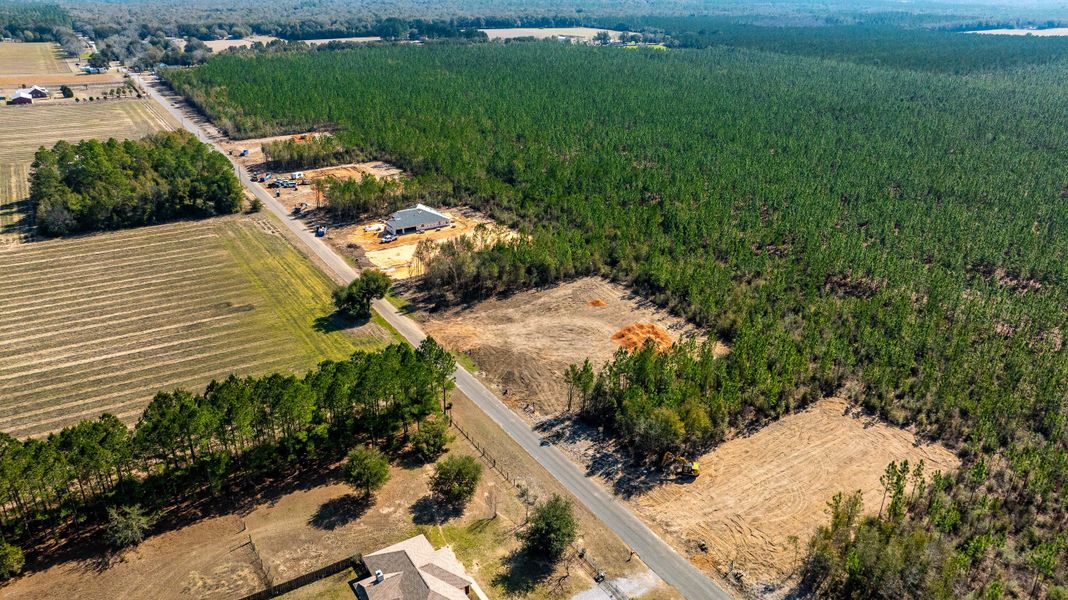 Site preparation and early development at Walther Reserve in Milton, FL (Image 8). Site preparation and early development at Walther Reserve in Milton, FL (Image 8).