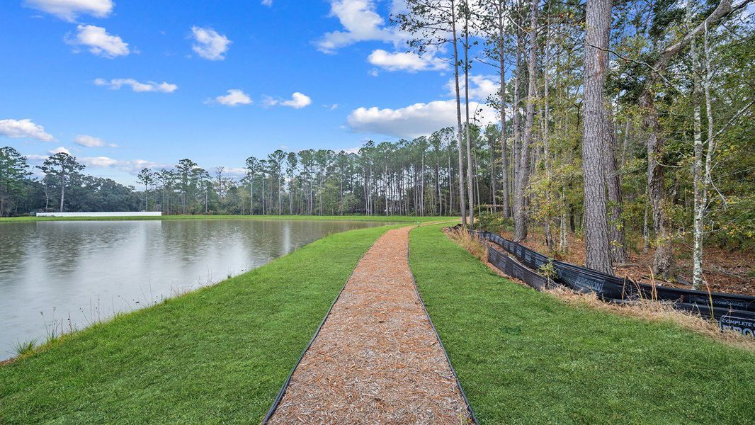Natural surroundings and green spaces near The Groves at Bees Creek in Ridgeland, SC (Image 24).