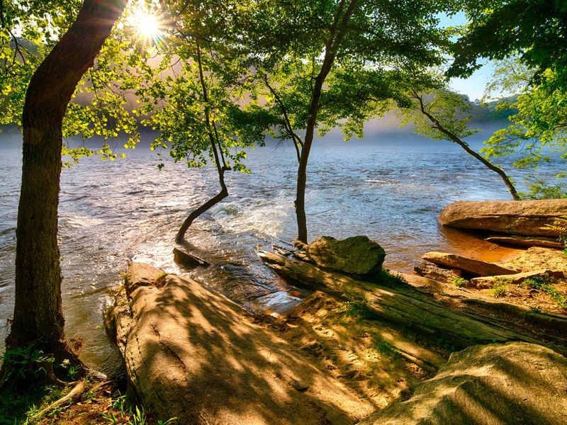 Natural surroundings and green spaces near The Village at Shallowford in Kennesaw, GA (Image 19).