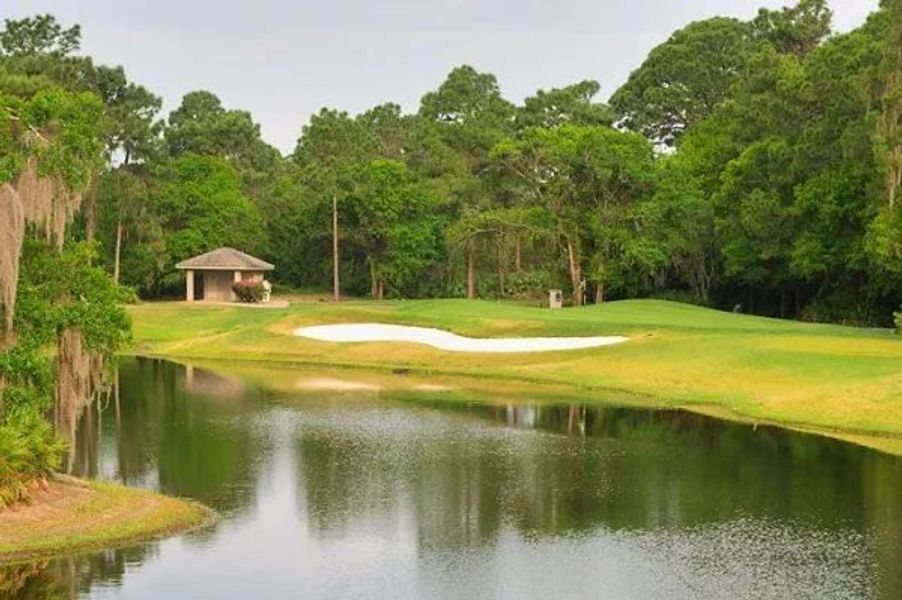 Natural surroundings and green spaces near Fairway Pointe - Villa Community in Sun City Center, FL (Image 20). Natural surroundings and green spaces near Fairway Pointe - Villa Community in Sun City Center, FL (Image 20).